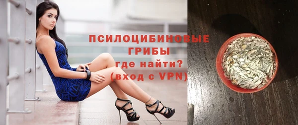 шишки Алексеевка