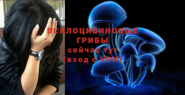 мет Армянск