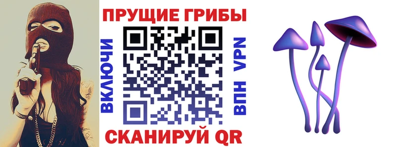 Псилоцибиновые грибы Psilocybine cubensis  Кореновск 